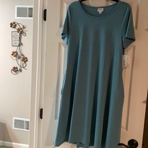 LuLaRoe Jessie Swing Dress with Pockets size M
